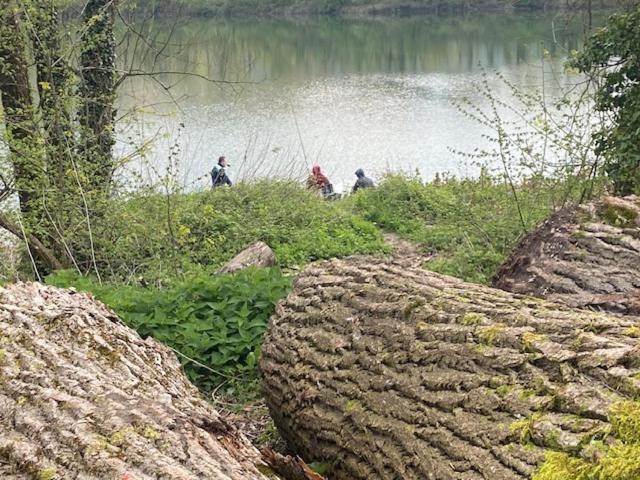 Au Chateau Saint Blaise Virignin Eksteriør bilde