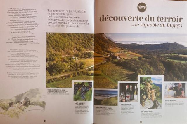 Au Chateau Saint Blaise Virignin Eksteriør bilde