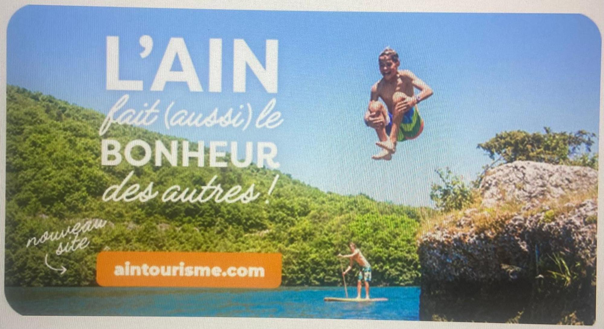 Au Chateau Saint Blaise Virignin Eksteriør bilde